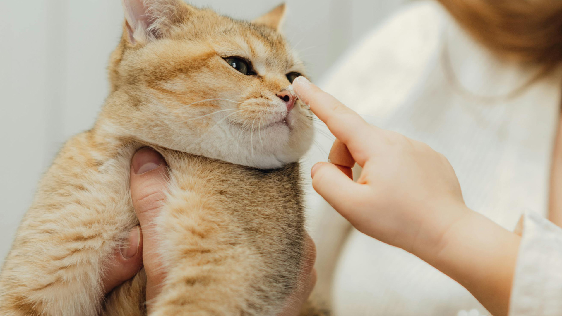 Cruelty-Free Kitty